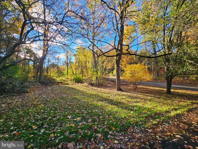 a view of a yard with a tree