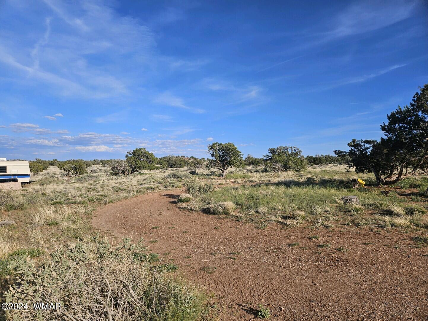 110 County Road Concho, AZ 85924 - Photo 11 of 21 a view of a dry yard with wooden fence and trees