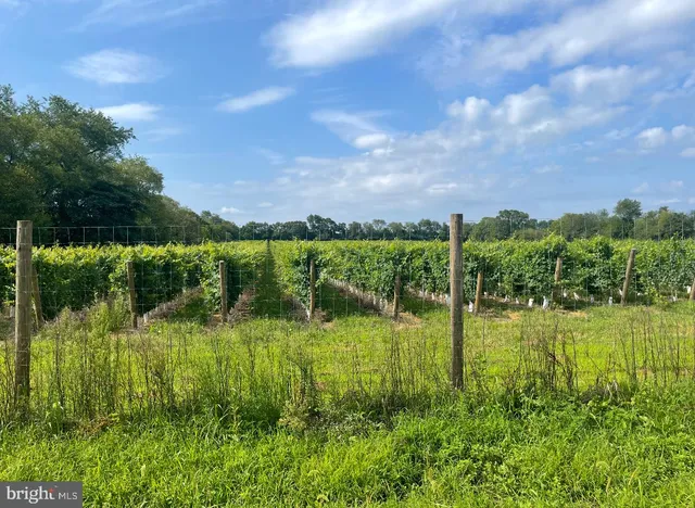 a view of a lake view with sitting space