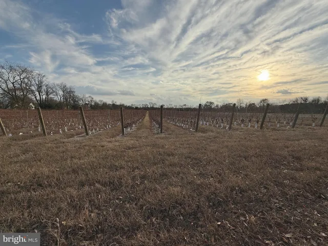 a view of open area with green space