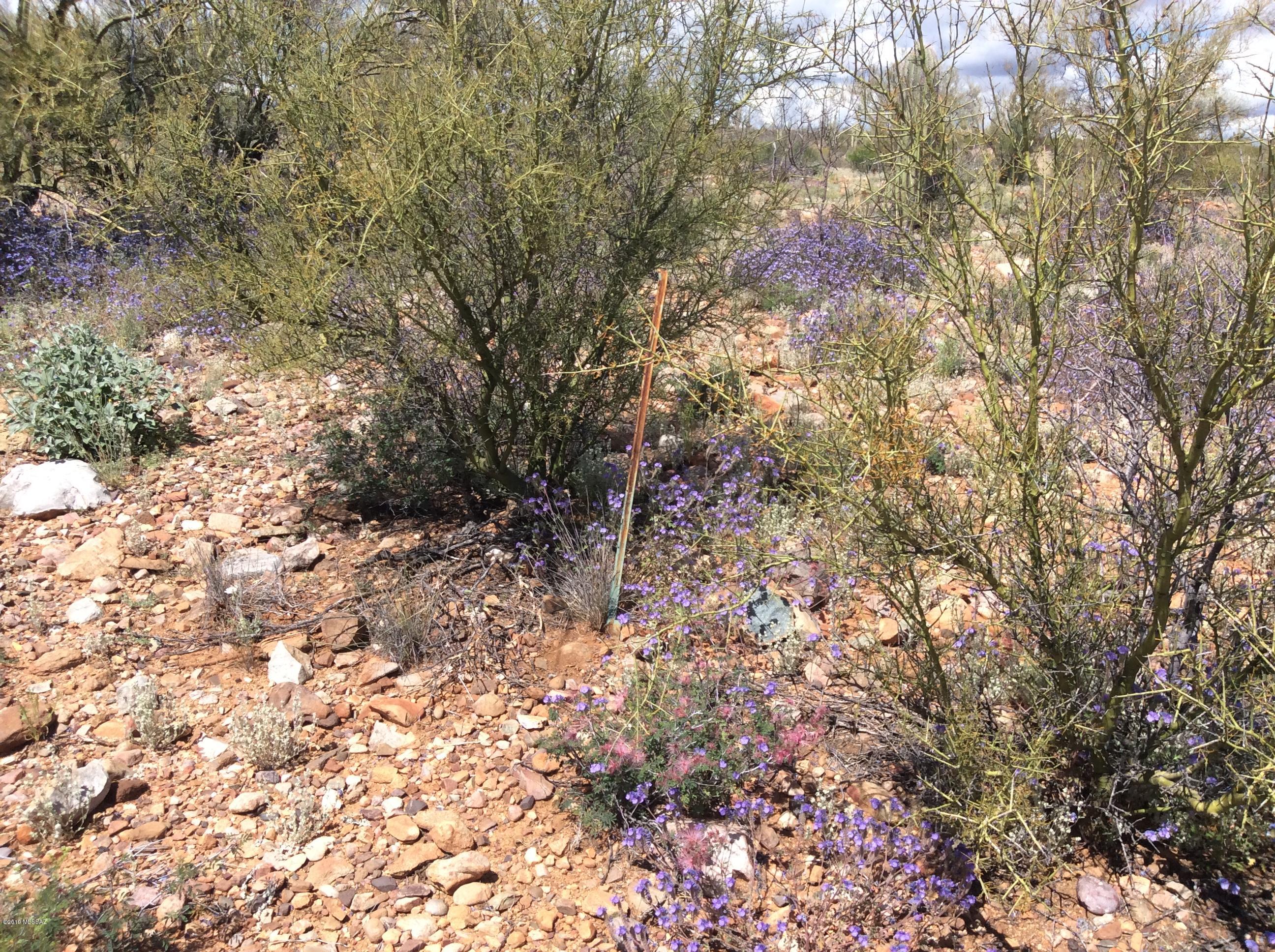Peppersauce Mine Road San Manuel, AZ 85631 - Photo 3 of 33