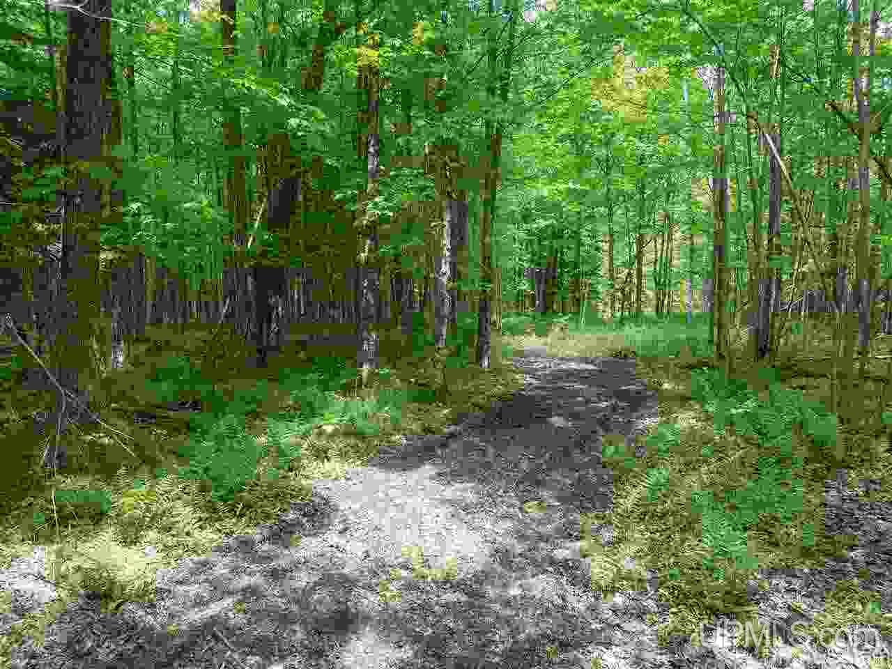 40-ac Parks Farm Road Iron River, MI 49935 - Photo 3 of 20