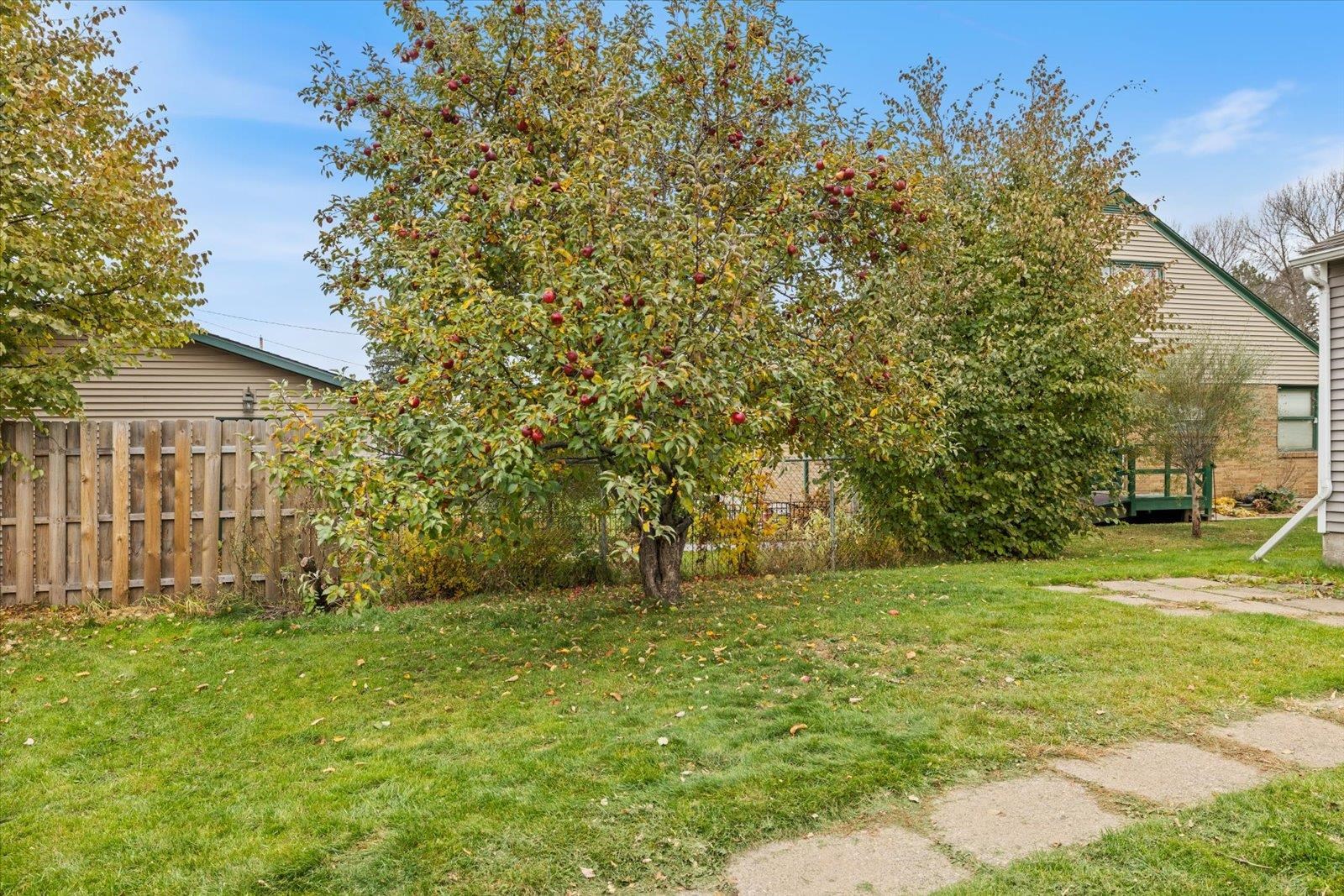 813 6th Street South Virginia, MN 55792 - Photo 44 of 44 View of yard