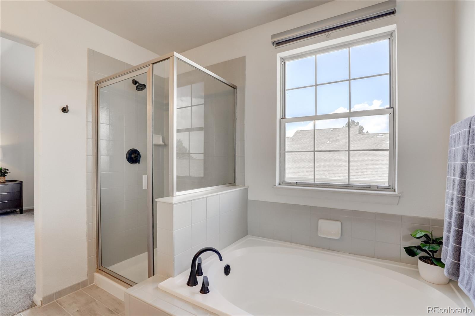 6120 Trailhead Road Highlands Ranch, CO 80130 - Photo 16 of 29 a bathroom with a shower and a sink