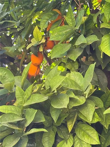 $2,400 | 831 Balsam Way, Hemet, CA 92545