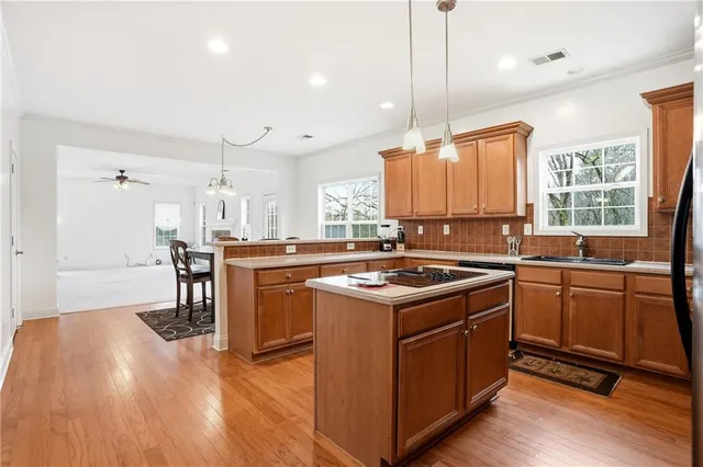 a kitchen with stainless steel appliances granite countertop a stove a sink dishwasher a refrigerator and white cabinets with wooden floor