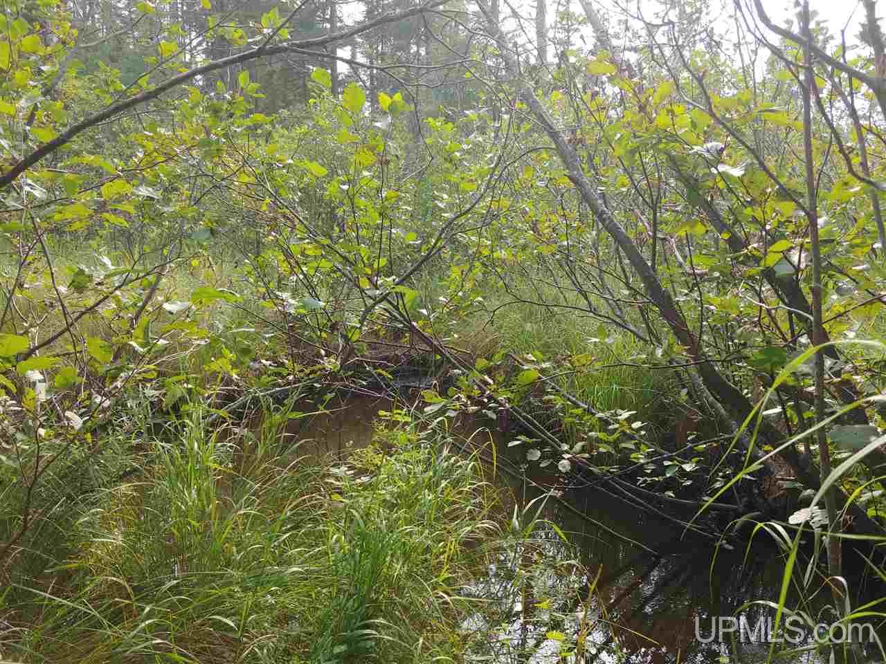 42-acres 42-acres Co Road Ishpeming, MI 49849 - Photo 15 of 16