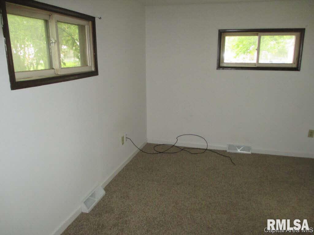 619 North Stephens Avenue Springfield, IL 62702 - Photo 13 of 18