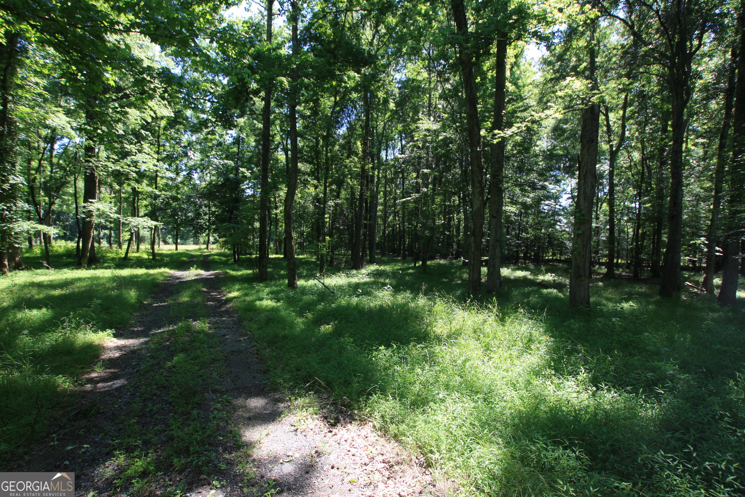 0 Mcgee Bend Road Rome, GA 30165 - Photo 14 of 33