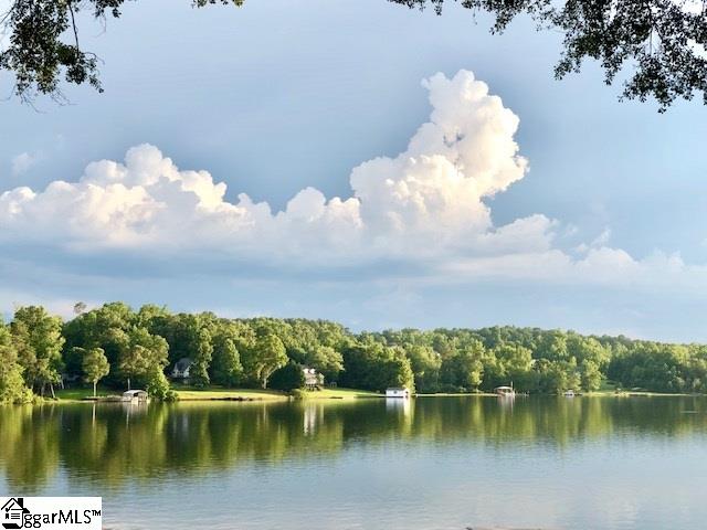 415 Lyman Lake Road Lyman, SC 29365 - Photo 27 of 34