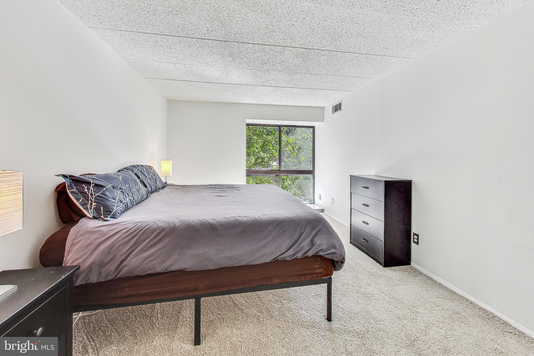 2120 Green Watch Way, Unit 201 Reston, VA 20191 - Photo 14 of 51 Primary Suite with Two Closets