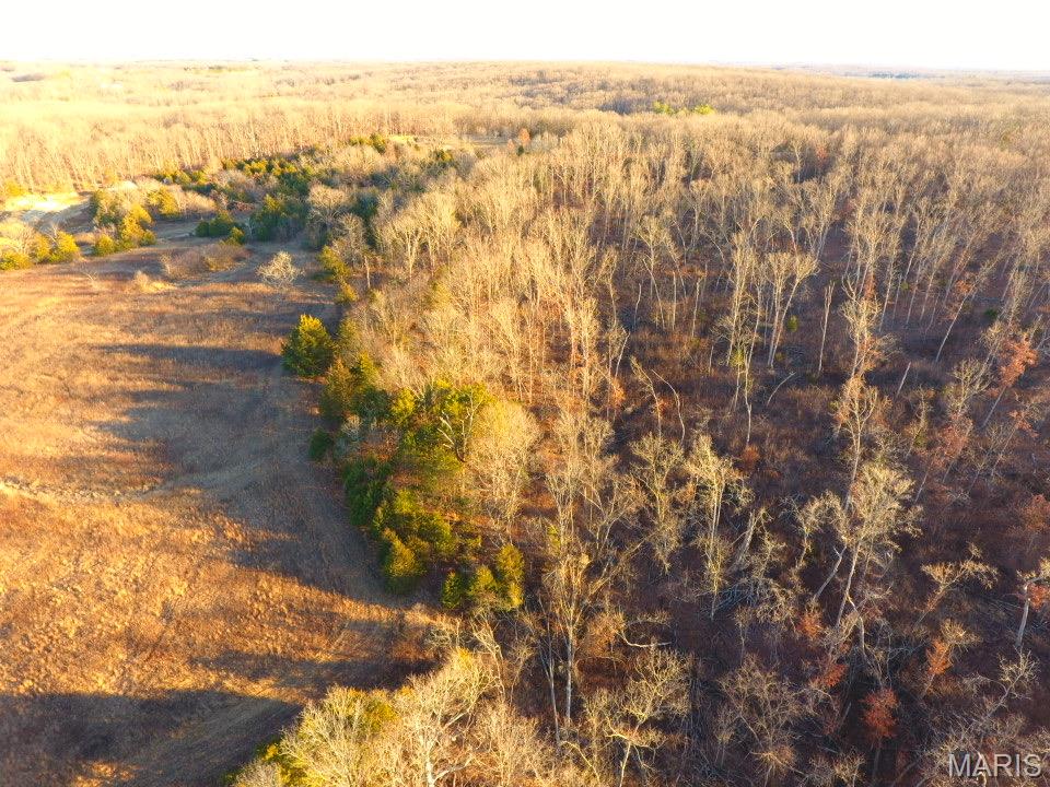 Tbd Van Horn Road Bland, MO 65014 - Photo 36 of 47