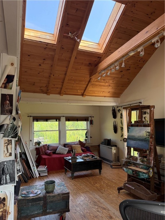 1342 Crystal Creek Road Hamden, NY 13856 - Photo 28 of 49 Studio Sky Lights