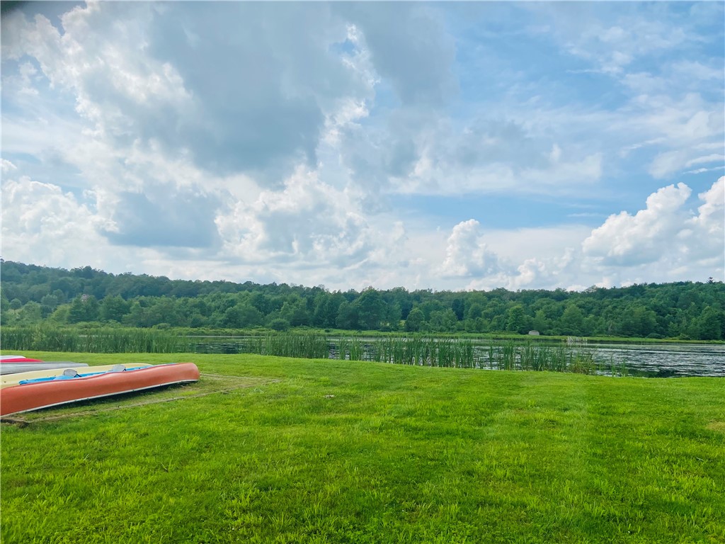 1342 Crystal Creek Road Hamden, NY 13856 - Photo 47 of 49 Crystal Meadows Common Field and Pond