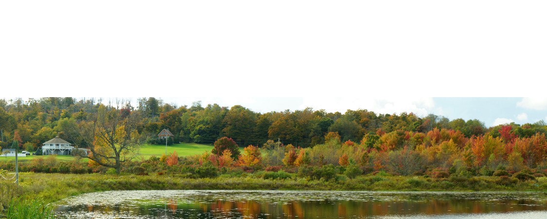 1342 Crystal Creek Road Hamden, NY 13856 - Photo 48 of 49 Crystal Brook Meadows Pond