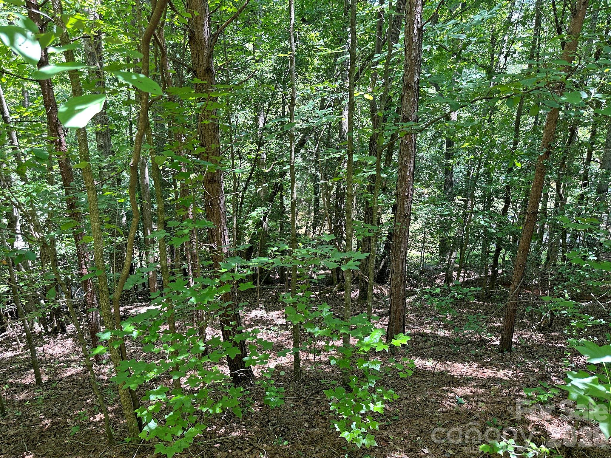 547 Stewart Rock Road Stony Point, NC 28678 - Photo 14 of 30 Gallery Image 14
