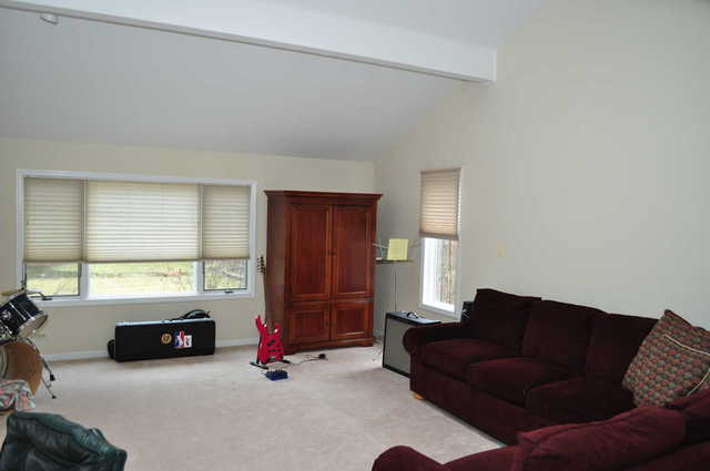 294 Downing Road Riverside, IL 60546 - Photo 8 of 17