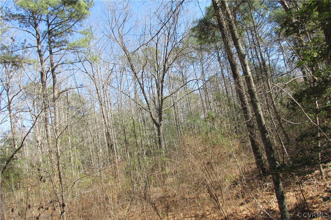16615 Templeton Road Disputanta, VA 23842 - Photo 17 of 47 a backyard of a building