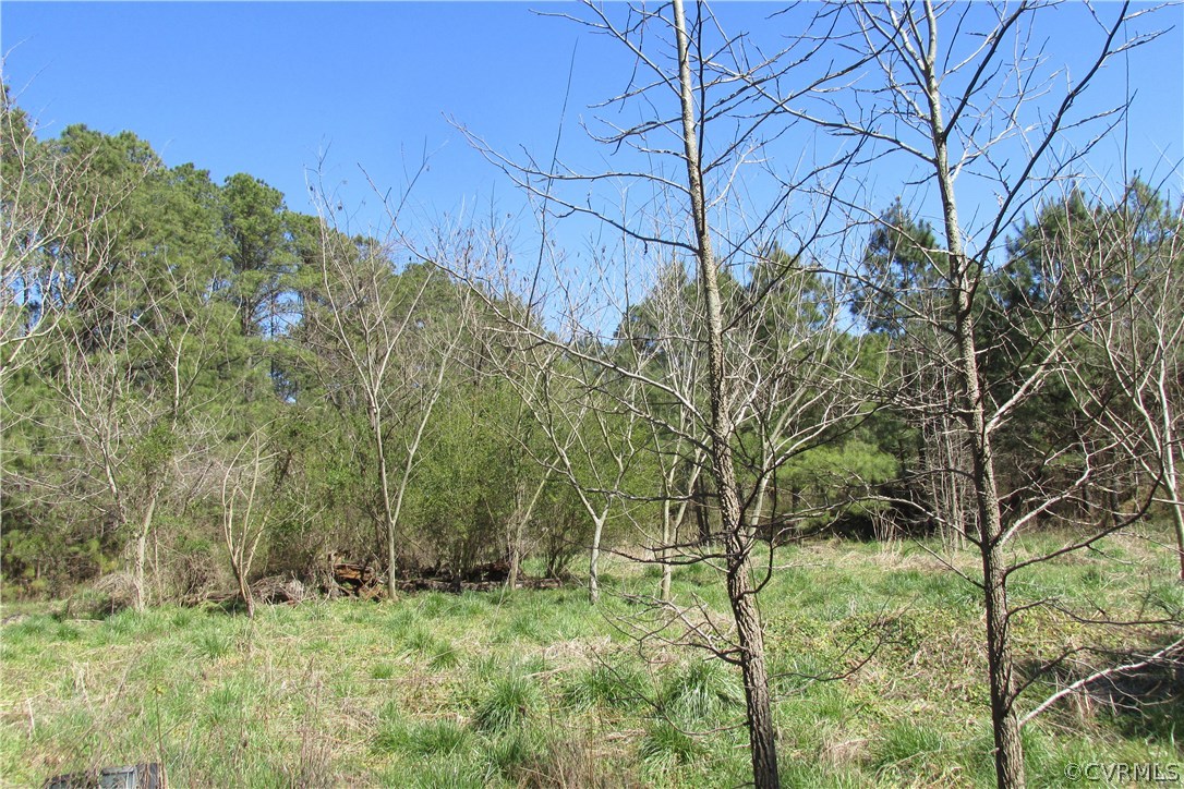 16615 Templeton Road Disputanta, VA 23842 - Photo 2 of 47 a big yard with lots of green space and plants