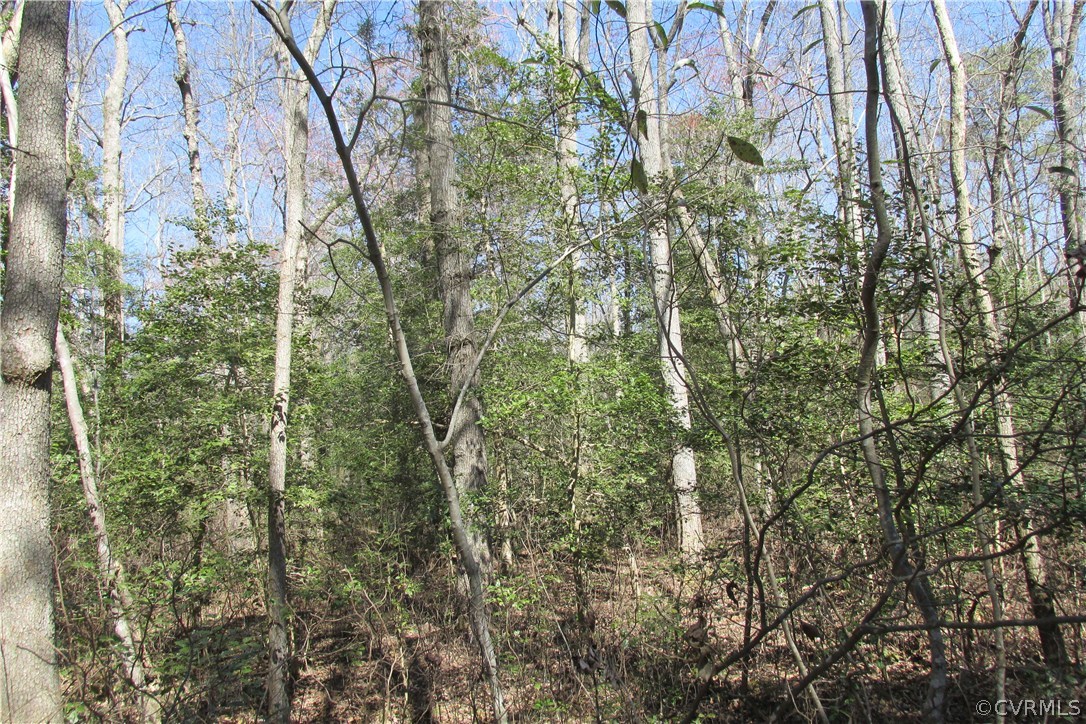 16615 Templeton Road Disputanta, VA 23842 - Photo 23 of 47
