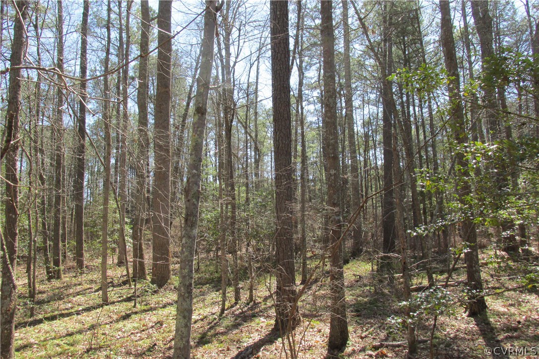 16615 Templeton Road Disputanta, VA 23842 - Photo 26 of 47
