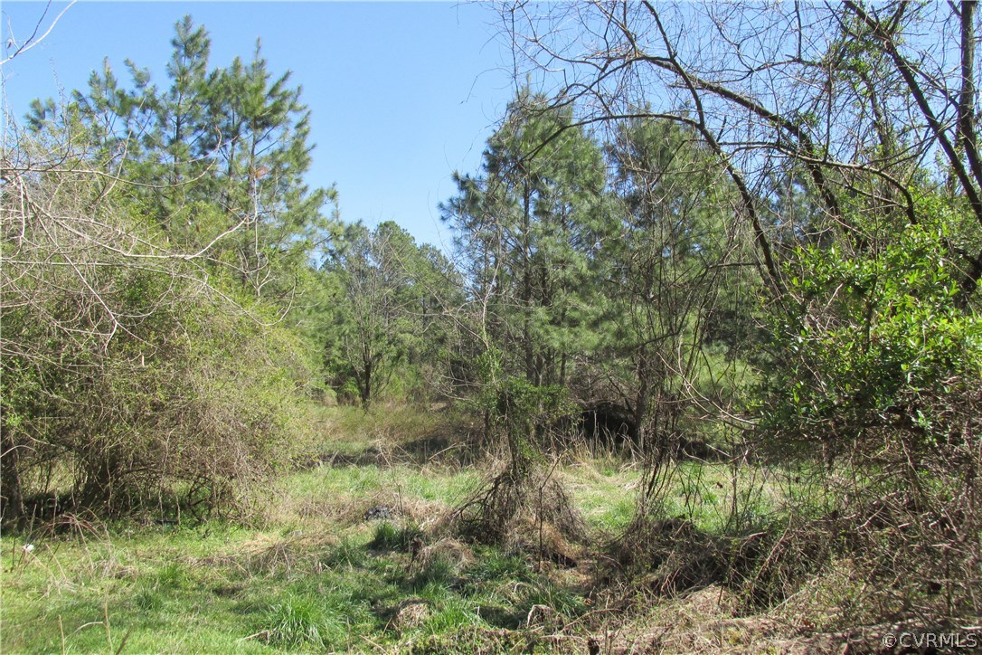 16615 Templeton Road Disputanta, VA 23842 - Photo 3 of 47 a view of a garden