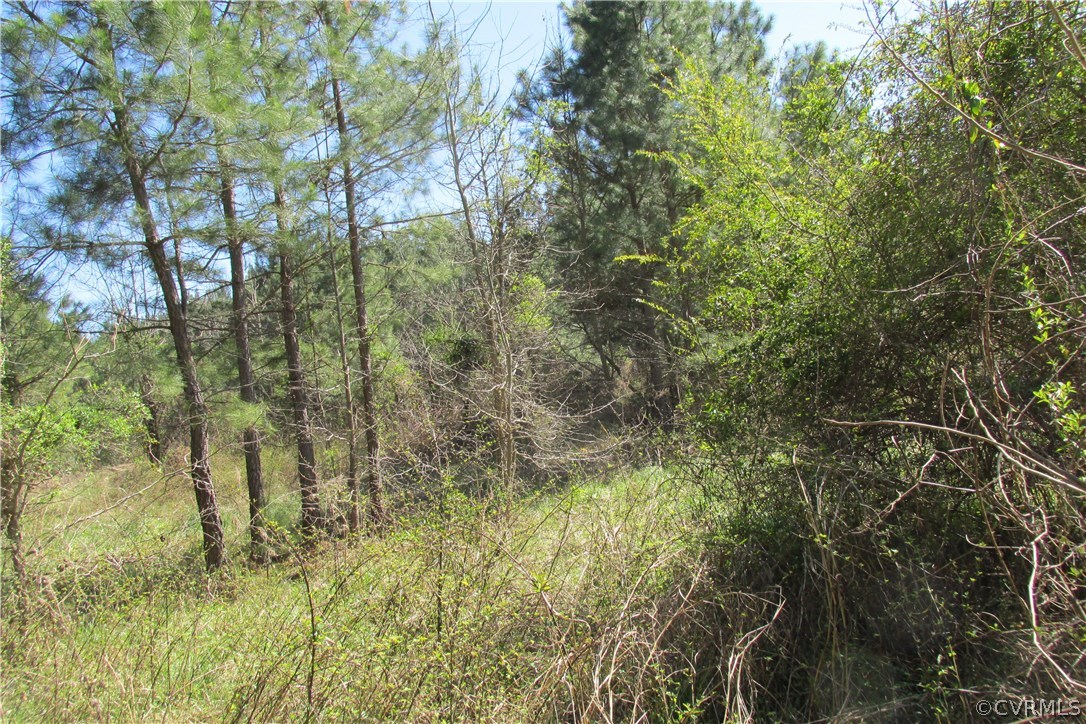 16615 Templeton Road Disputanta, VA 23842 - Photo 4 of 47