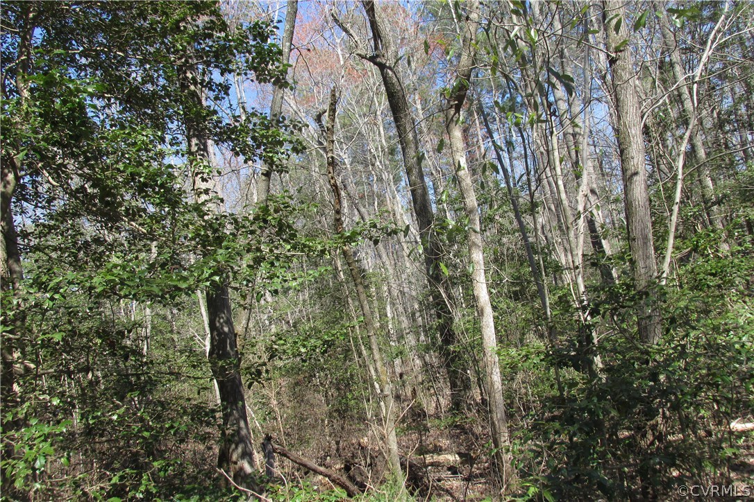 16615 Templeton Road Disputanta, VA 23842 - Photo 45 of 47