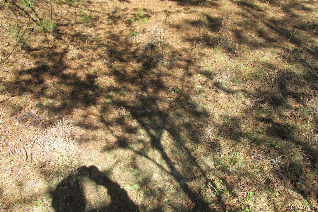 16615 Templeton Road Disputanta, VA 23842 - Photo 7 of 47