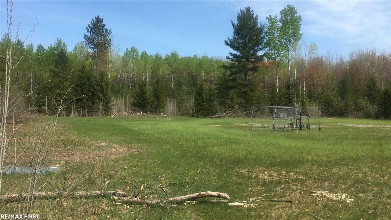 0 McMurphy Road, Unit MCMURPHY Atlanta, MI 49709 - Photo 1 of 12