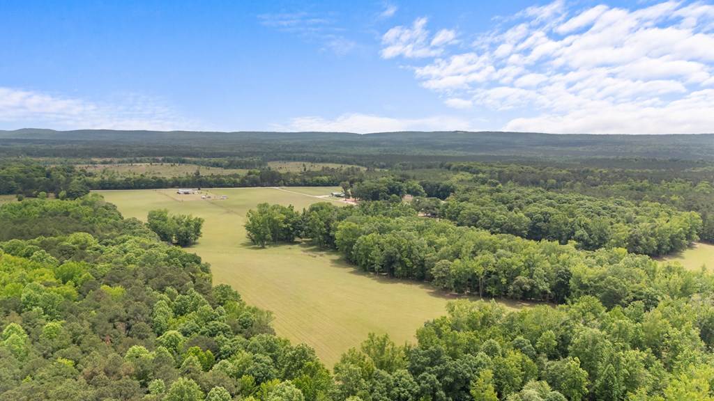 186 Beech Springs Road Pine Mountain, GA 31822 - Photo 21 of 59