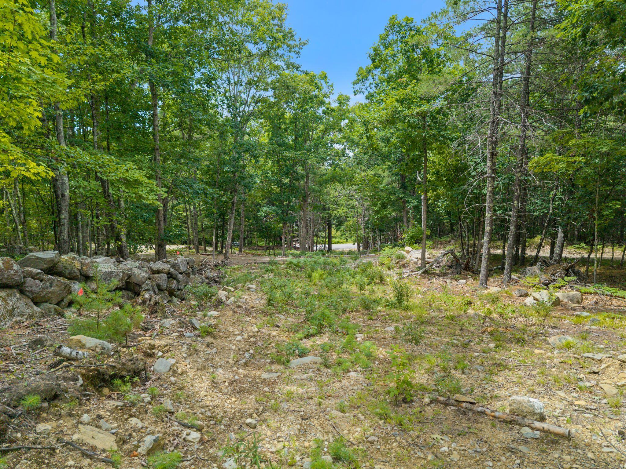 Lot 5-6 Libby Road West Newfield, ME 04095 - Photo 2 of 9 Libby_Rd_034