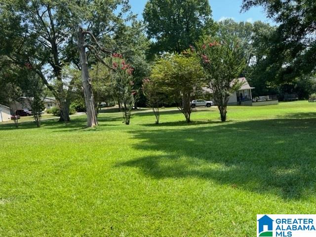 208 Millard Street Talladega, AL 35160 - Photo 18 of 18