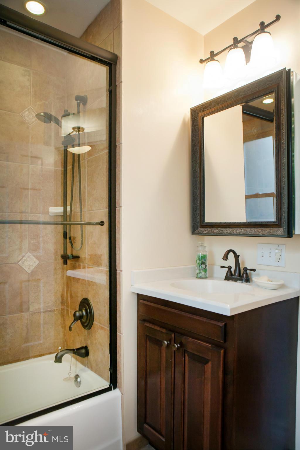 917 E Street Southeast Washington, DC 20003 - Photo 25 of 30 a bathroom with a sink mirror and shower