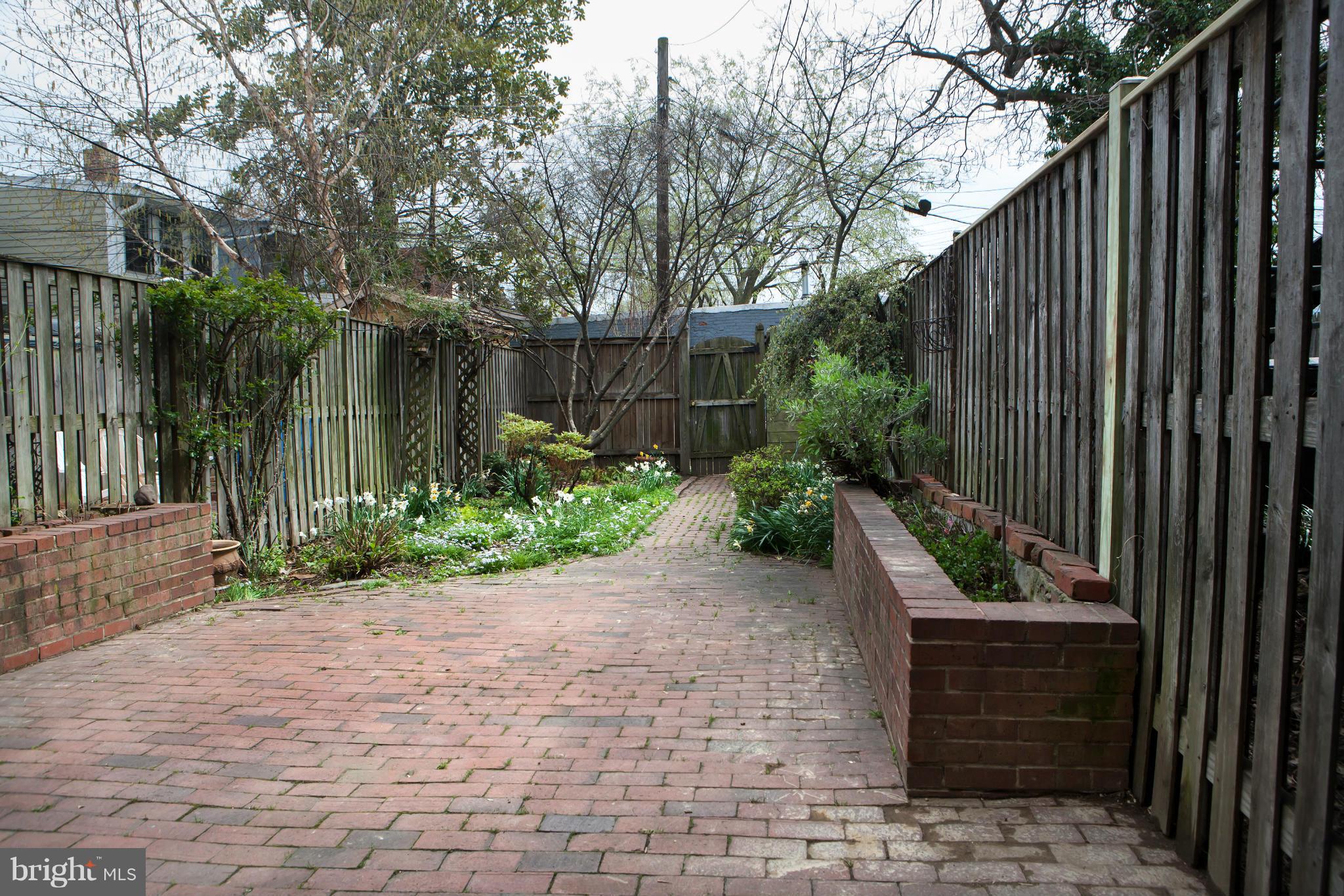 917 E Street Southeast Washington, DC 20003 - Photo 29 of 30 a backyard of a house with lots of green space