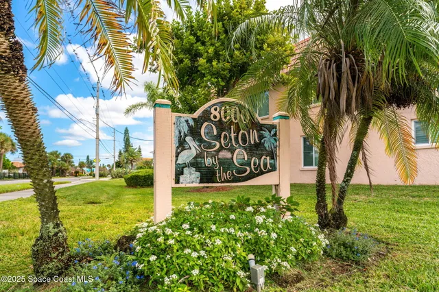 a view of a street with palm trees