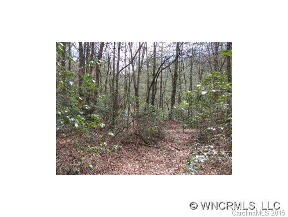 12 Pressley Fields Road Balsam Grove, NC 28708 - Photo 1 of 8 Gallery Image 1
