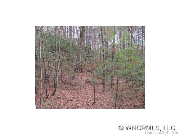 12 Pressley Fields Road Balsam Grove, NC 28708 - Photo 6 of 8 Gallery Image 6