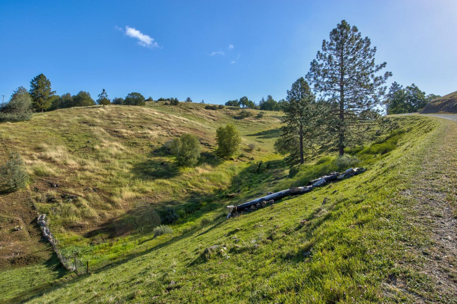 0 Trembath Mtn Road Fiddletown, CA 95629 - Photo 11 of 54