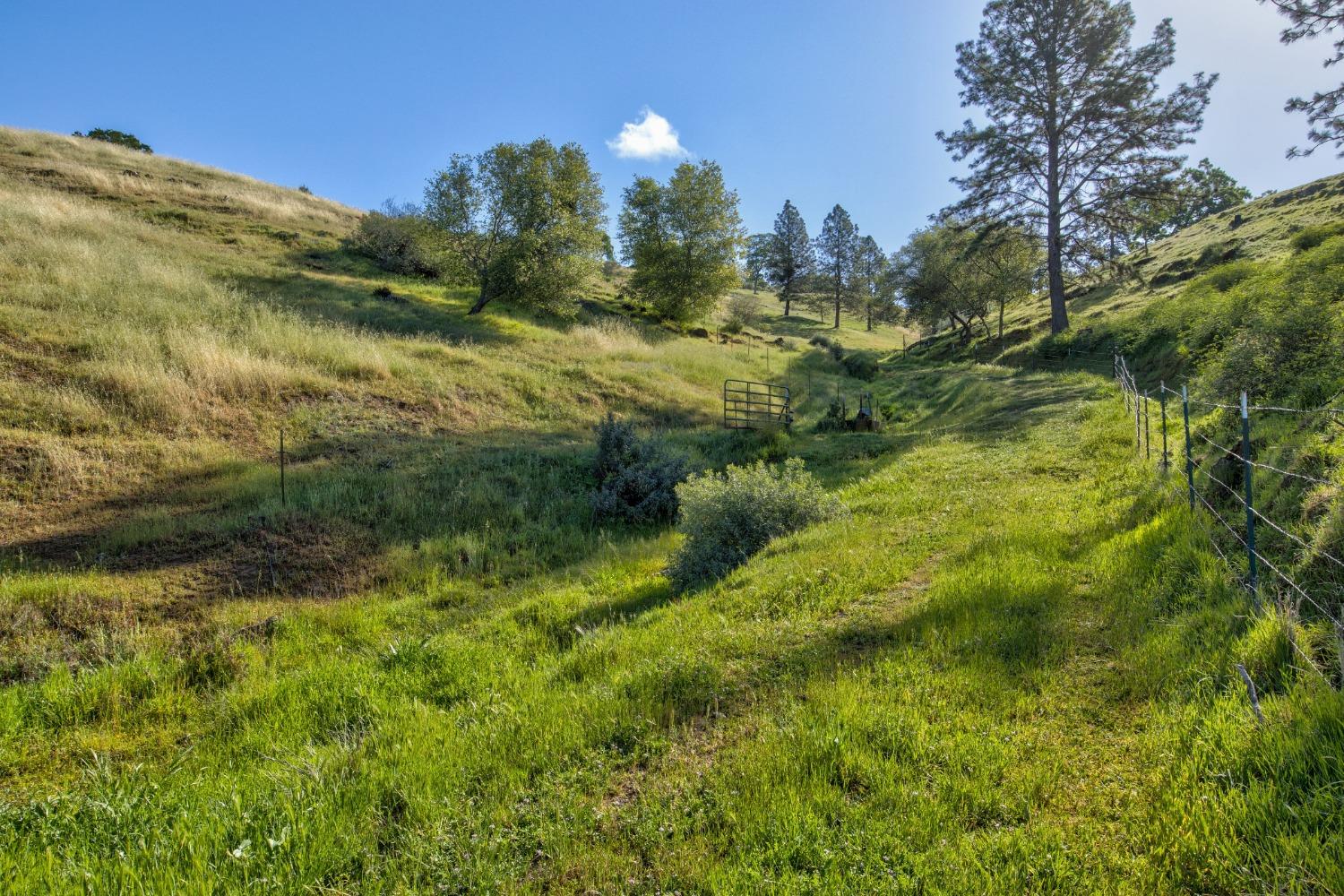 0 Trembath Mtn Road Fiddletown, CA 95629 - Photo 14 of 54