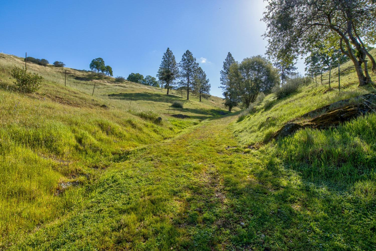 0 Trembath Mtn Road Fiddletown, CA 95629 - Photo 15 of 54