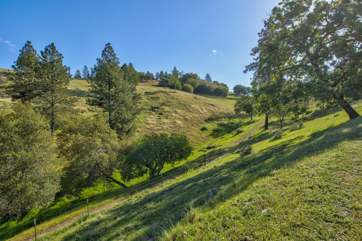 0 Trembath Mtn Road Fiddletown, CA 95629 - Photo 16 of 54