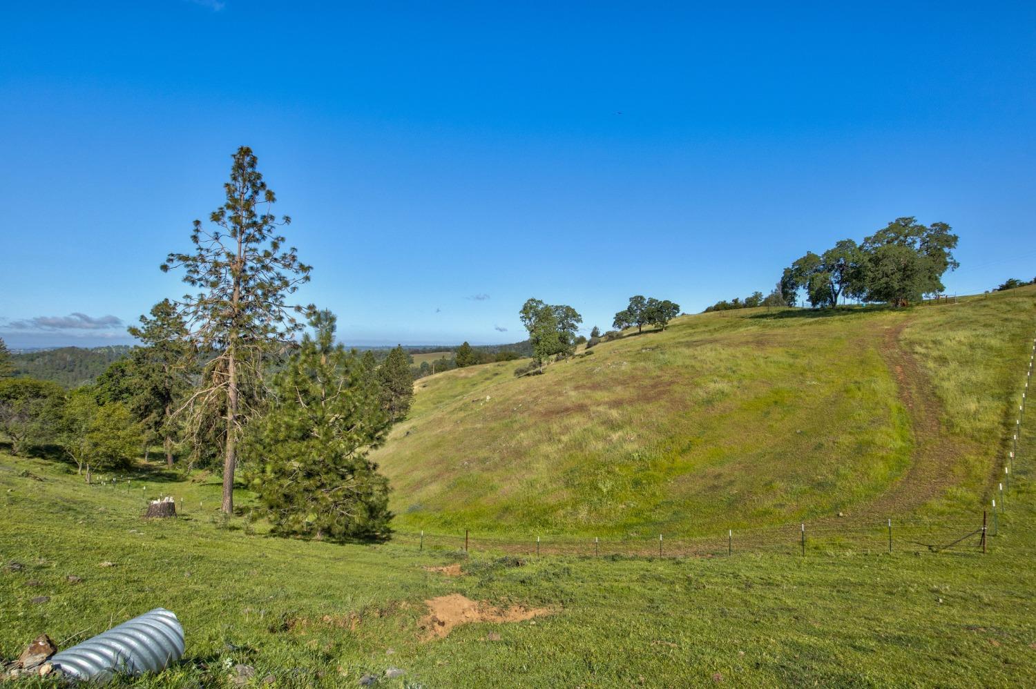 0 Trembath Mtn Road Fiddletown, CA 95629 - Photo 17 of 54