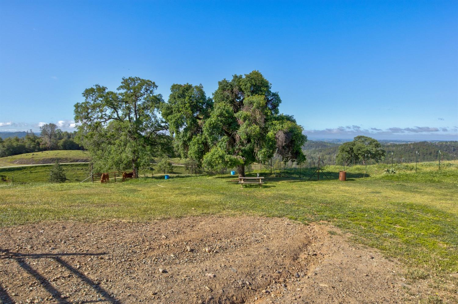 0 Trembath Mtn Road Fiddletown, CA 95629 - Photo 20 of 54