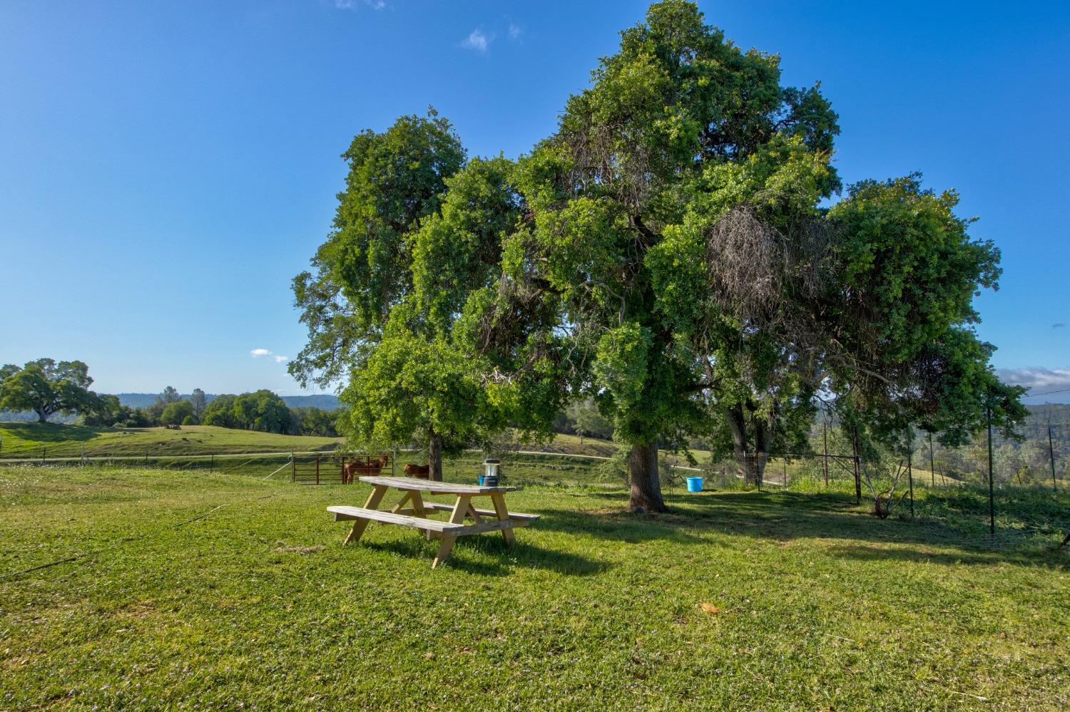 0 Trembath Mtn Road Fiddletown, CA 95629 - Photo 2 of 54