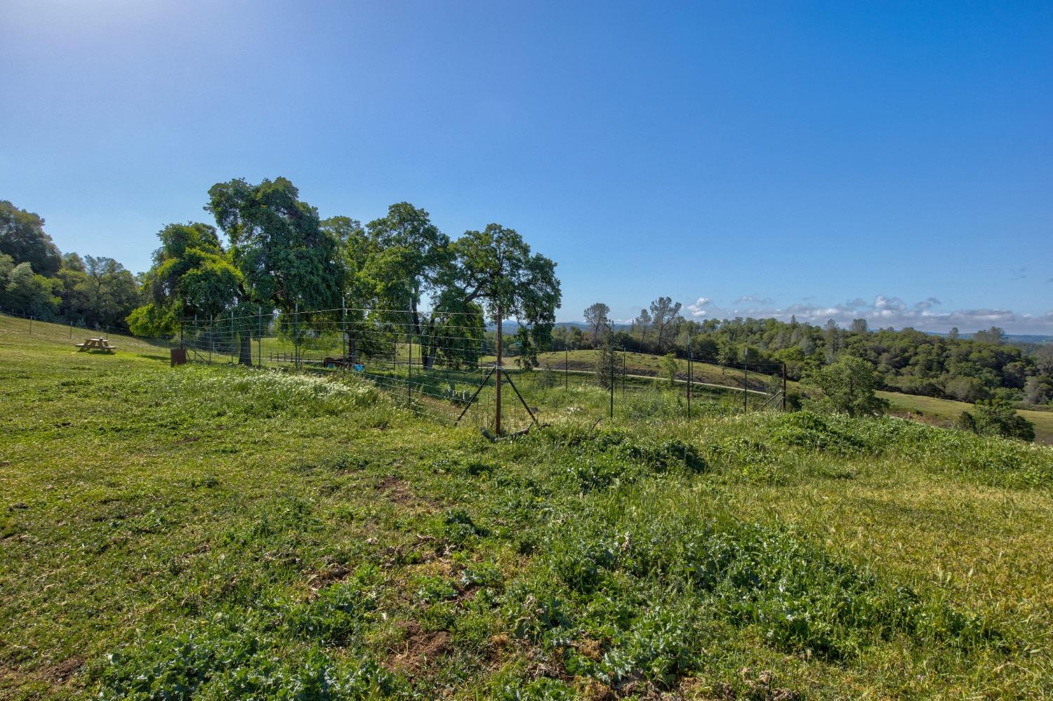 0 Trembath Mtn Road Fiddletown, CA 95629 - Photo 21 of 54