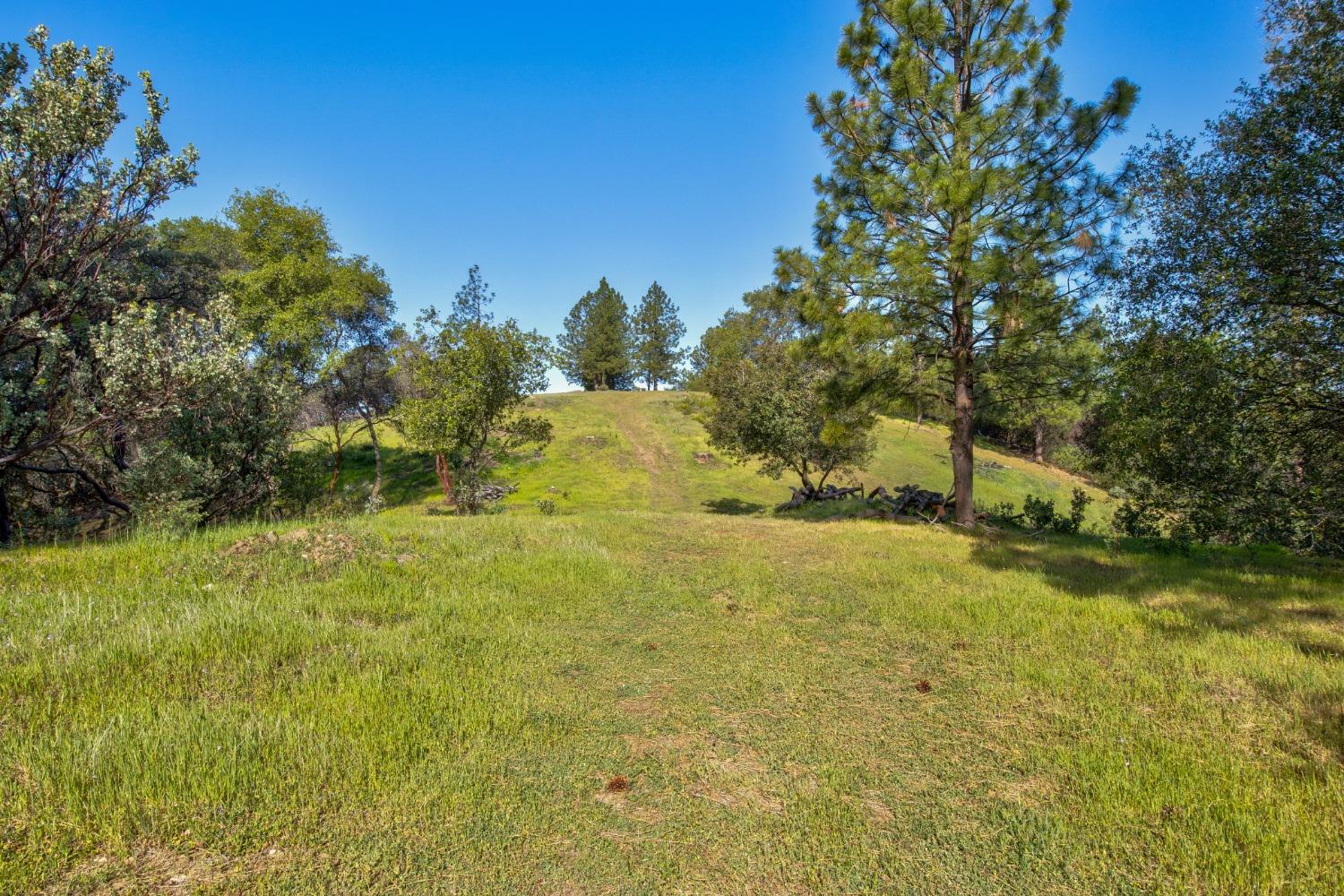 0 Trembath Mtn Road Fiddletown, CA 95629 - Photo 25 of 54