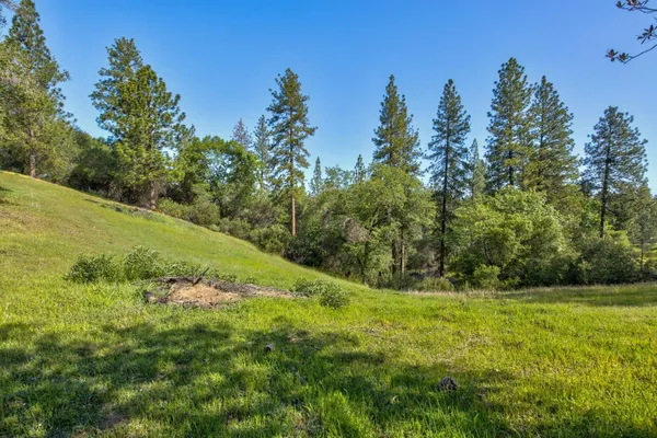 $399,000 | 0 Trembath Mtn Road, Fiddletown, CA 95629
