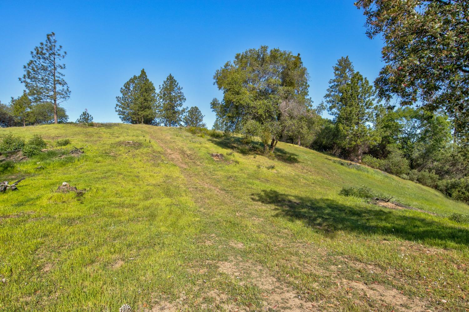 0 Trembath Mtn Road Fiddletown, CA 95629 - Photo 28 of 54