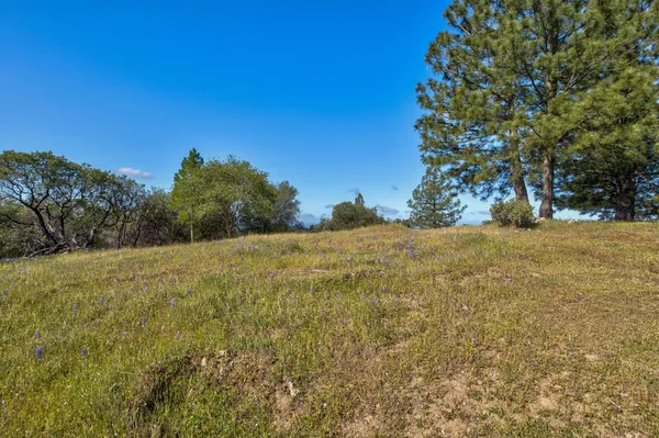 $399,000 | 0 Trembath Mtn Road, Fiddletown, CA 95629